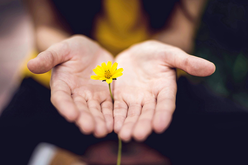 Psicoterapia y Comunicacion no violenta para la familia en Vitoria-Gasteiz, País Vasco, Euskadi, Bilbao, Navarra y online con Franziska Rautenberg
