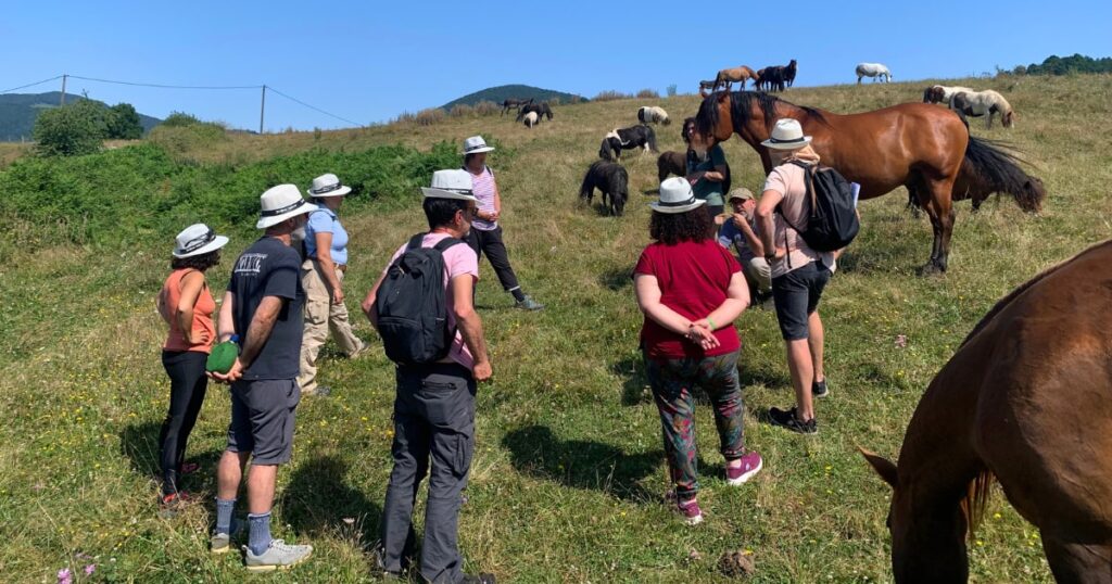 Formación en Comunicacion no violenta con caballos en Vitoria-Gasteiz, País Vasco, Euskadi, Bilbao, Navarra y online con Franziska Rautenberg