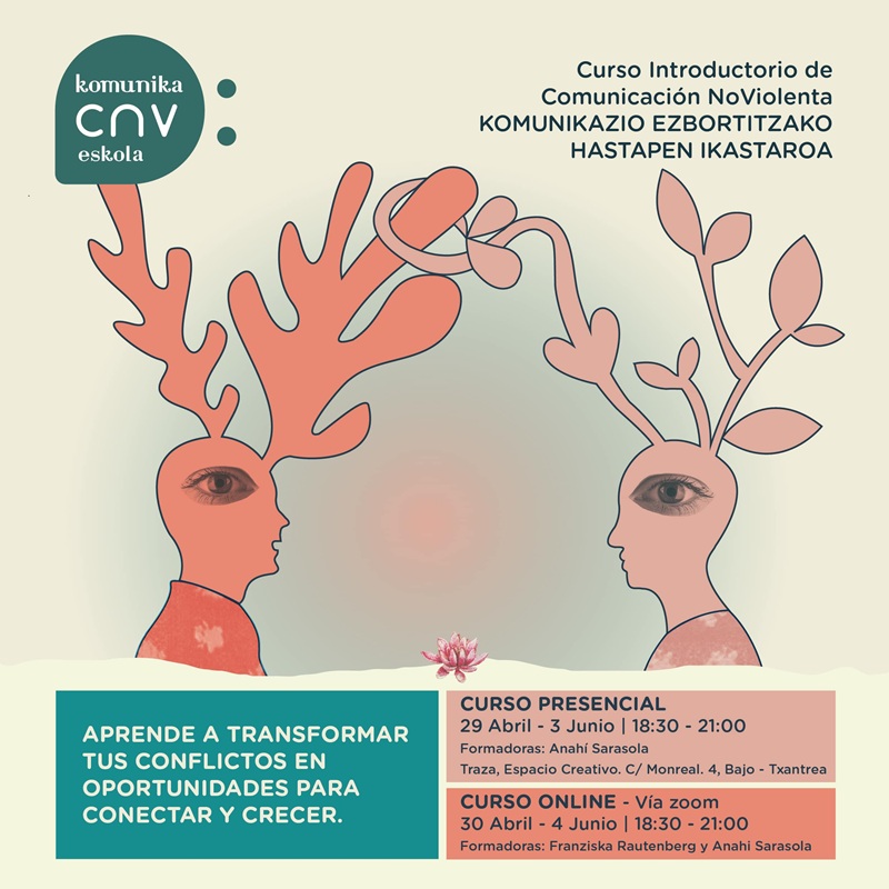 intro a la cnv komunikacnveskola franziska rautenberg